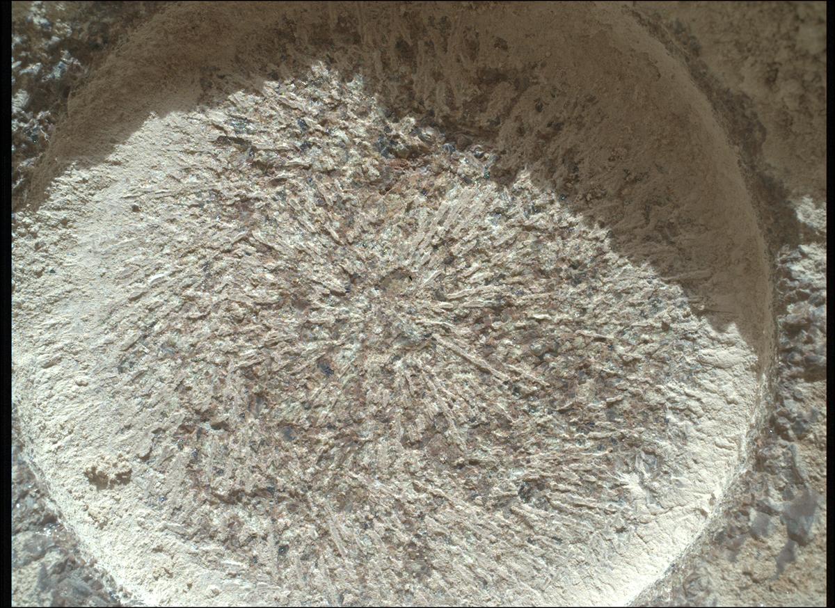 This image was taken by SHERLOC_WATSON onboard NASA's Mars rover Perseverance on Sol 1334