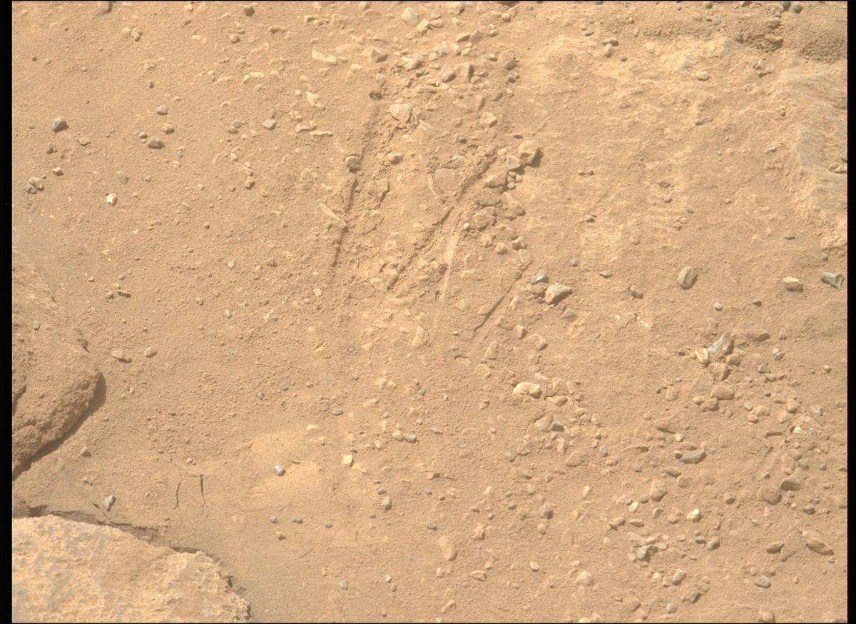 This image was taken by MCZ_LEFT onboard NASA's Mars rover Perseverance on Sol 1334