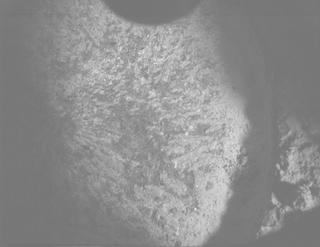 View image taken on Mars, Mars Perseverance Sol 1335: PIXL Camera 
