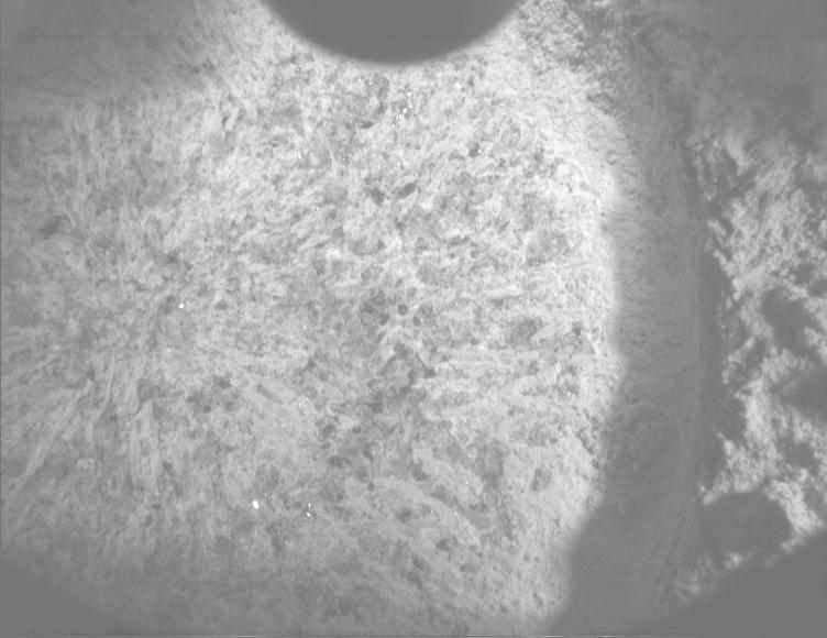 This image was taken by PIXL_MCC onboard NASA's Mars rover Perseverance on Sol 1335