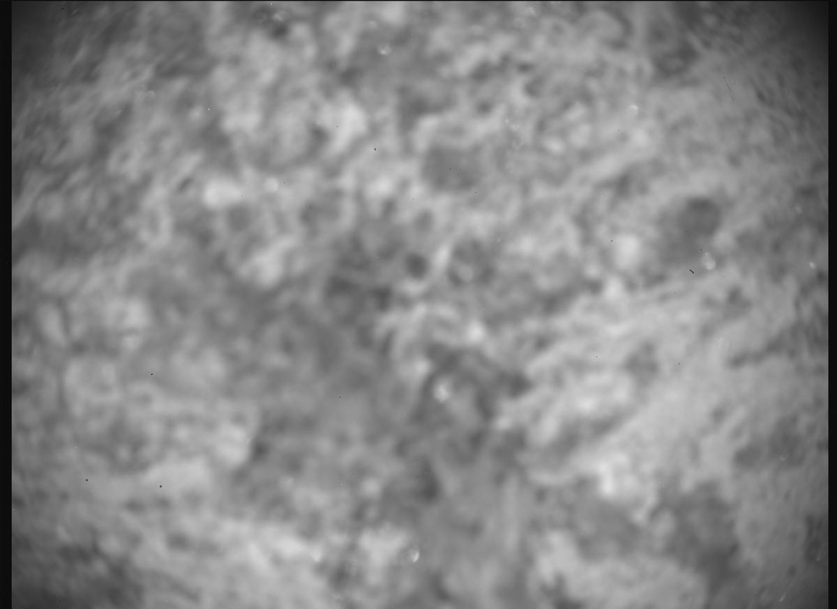 This image was taken by SHERLOC_ACI onboard NASA's Mars rover Perseverance on Sol 1335