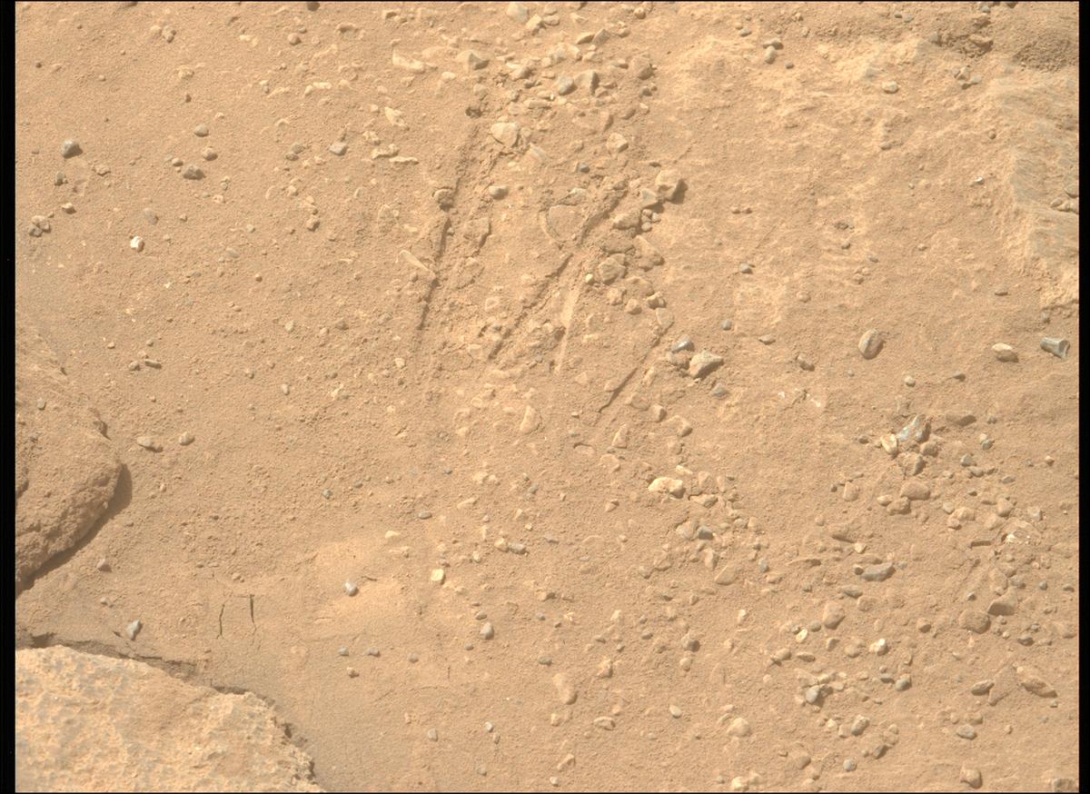 This image was taken by MCZ_LEFT onboard NASA's Mars rover Perseverance on Sol 1335