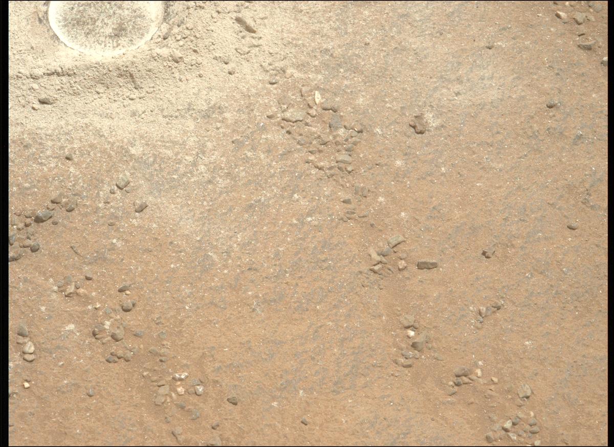This image was taken by MCZ_LEFT onboard NASA's Mars rover Perseverance on Sol 1335