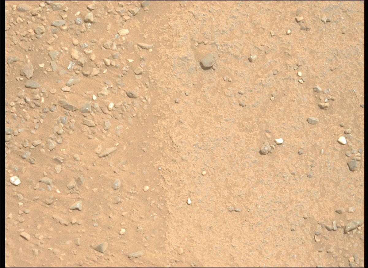 This image was taken by MCZ_LEFT onboard NASA's Mars rover Perseverance on Sol 1335