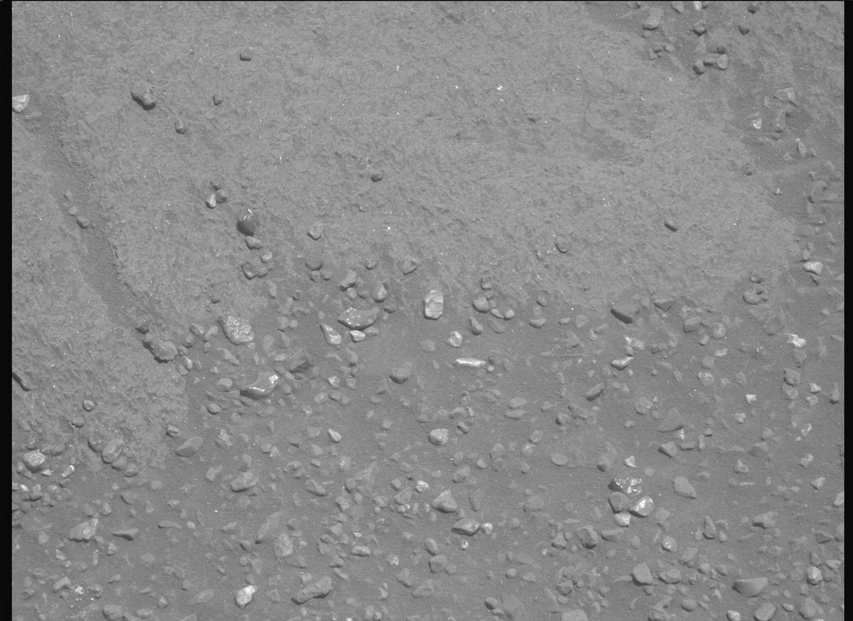 This image was taken by MCZ_LEFT onboard NASA's Mars rover Perseverance on Sol 1335