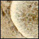 View image taken on Mars, Mars Perseverance Sol 1335: Left Mastcam-Z Camera