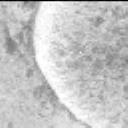 This image was taken by MCZ_LEFT onboard NASA's Mars rover Perseverance on Sol 1335