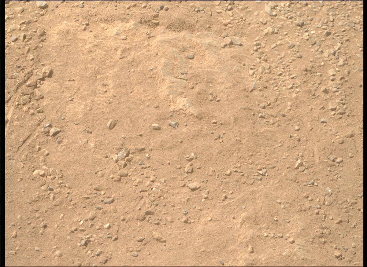 This image was taken by MCZ_RIGHT onboard NASA's Mars rover Perseverance on Sol 1335