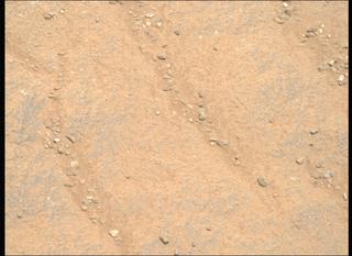 View image taken on Mars, Mars Perseverance Sol 1335: Right Mastcam-Z Camera
