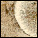View image taken on Mars, Mars Perseverance Sol 1335: Right Mastcam-Z Camera