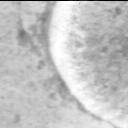 This image was taken by MCZ_RIGHT onboard NASA's Mars rover Perseverance on Sol 1335