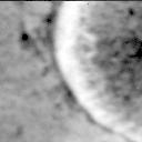View image taken on Mars, Mars Perseverance Sol 1335: Right Mastcam-Z Camera
