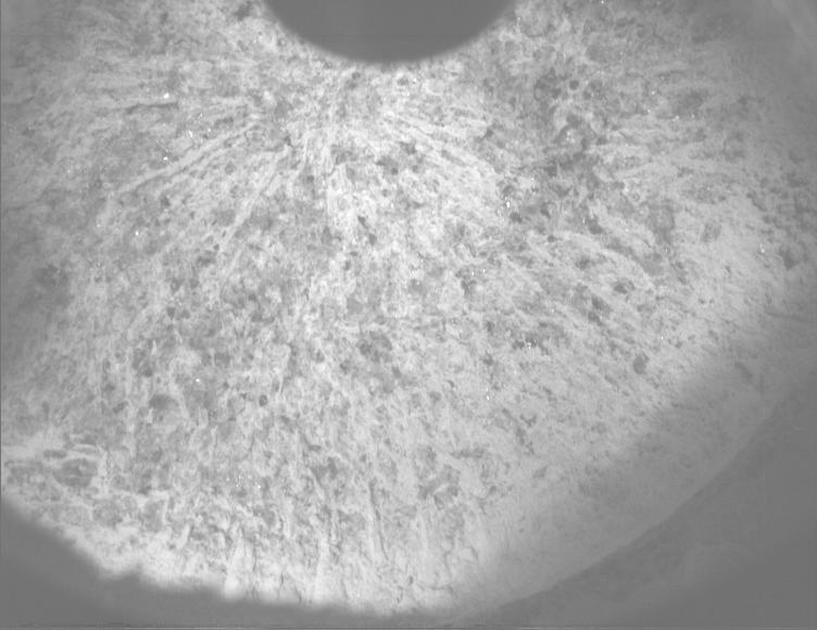 This image was taken by PIXL_MCC onboard NASA's Mars rover Perseverance on Sol 1336