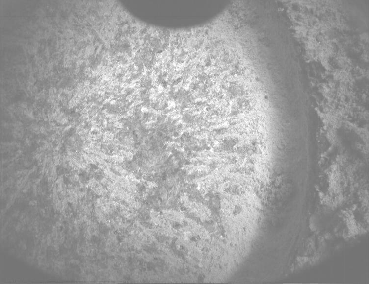 This image was taken by PIXL_MCC onboard NASA's Mars rover Perseverance on Sol 1336