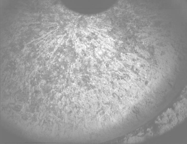 This image was taken by PIXL_MCC onboard NASA's Mars rover Perseverance on Sol 1336