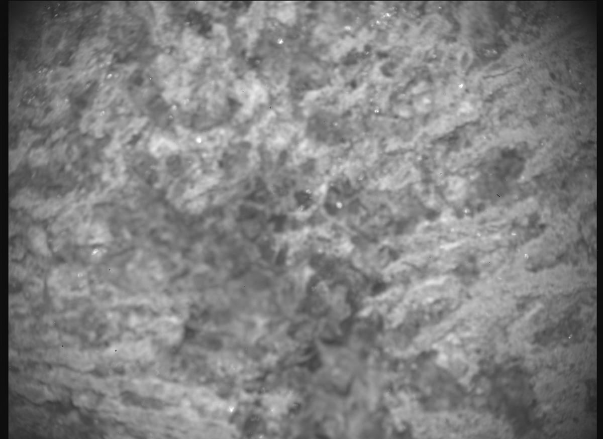 This image was taken by SHERLOC_ACI onboard NASA's Mars rover Perseverance on Sol 1336