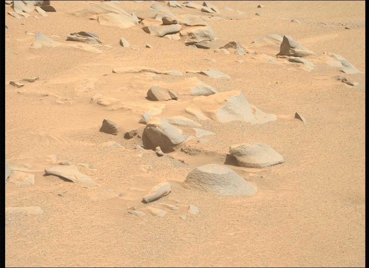 This image was taken by MCZ_LEFT onboard NASA's Mars rover Perseverance on Sol 1337