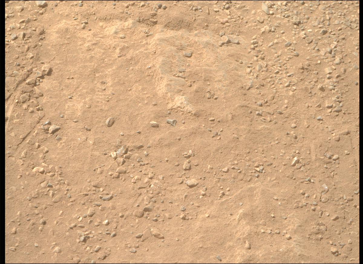 This image was taken by MCZ_RIGHT onboard NASA's Mars rover Perseverance on Sol 1337