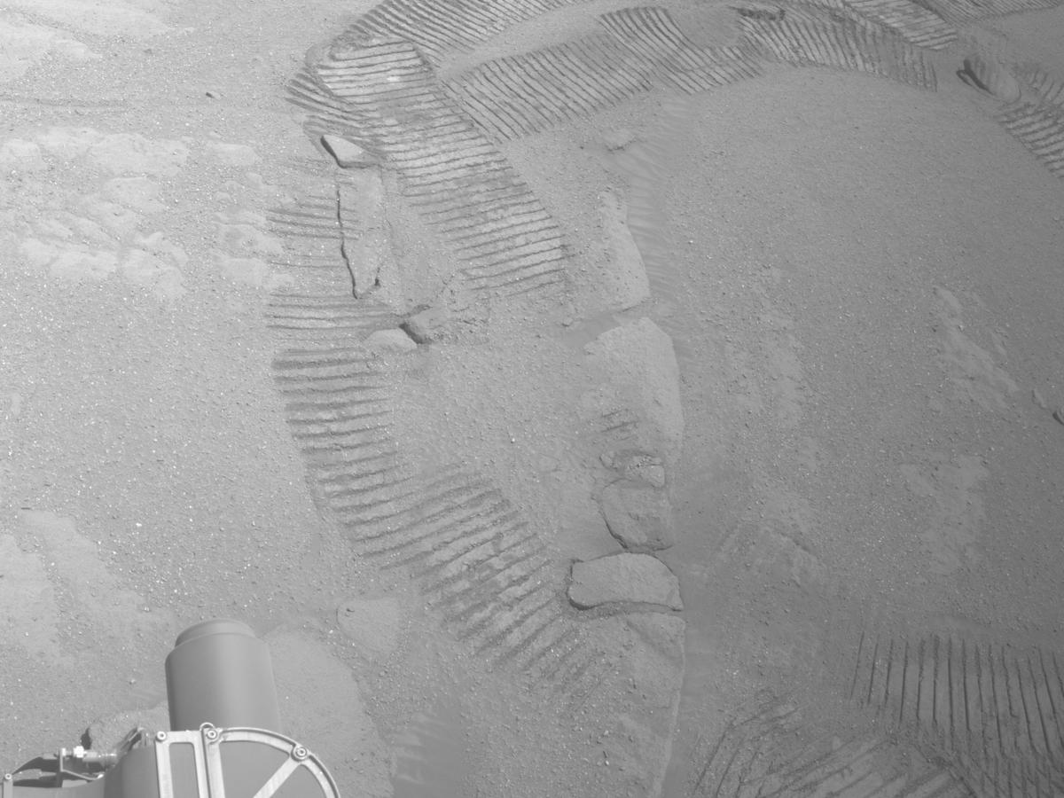 This image was taken by NAVCAM_LEFT onboard NASA's Mars rover Perseverance on Sol 1338