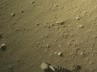 View image taken on Mars, Mars Perseverance Sol 1338: Right Navigation Camera (Navcam)