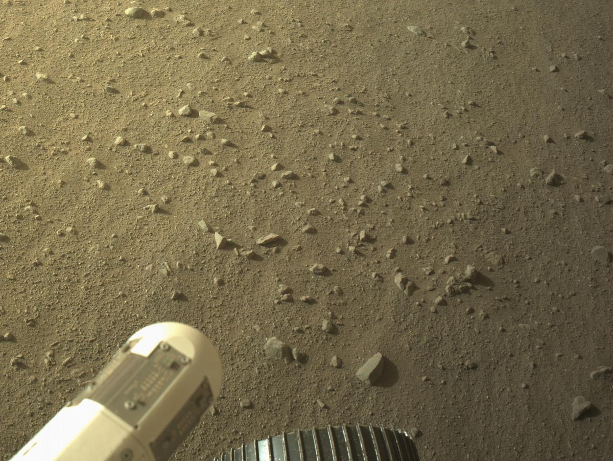 This image was taken by NAVCAM_RIGHT onboard NASA's Mars rover Perseverance on Sol 1338