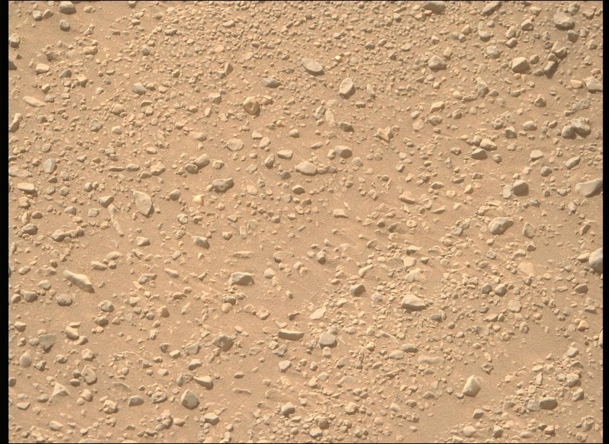 This image was taken by MCZ_RIGHT onboard NASA's Mars rover Perseverance on Sol 1339