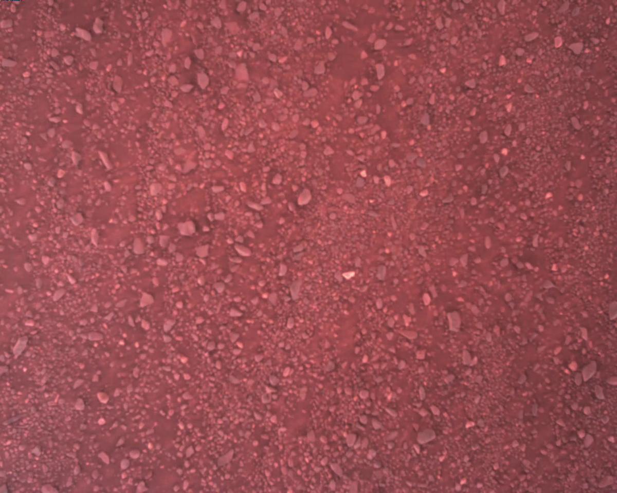 This image was taken by EDL_RDCAM onboard NASA's Mars rover Perseverance on Sol 1340