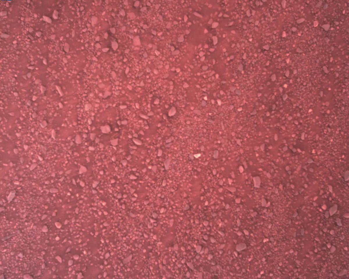 This image was taken by EDL_RDCAM onboard NASA's Mars rover Perseverance on Sol 1340