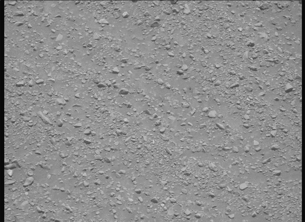 This image was taken by MCZ_LEFT onboard NASA's Mars rover Perseverance on Sol 1341
