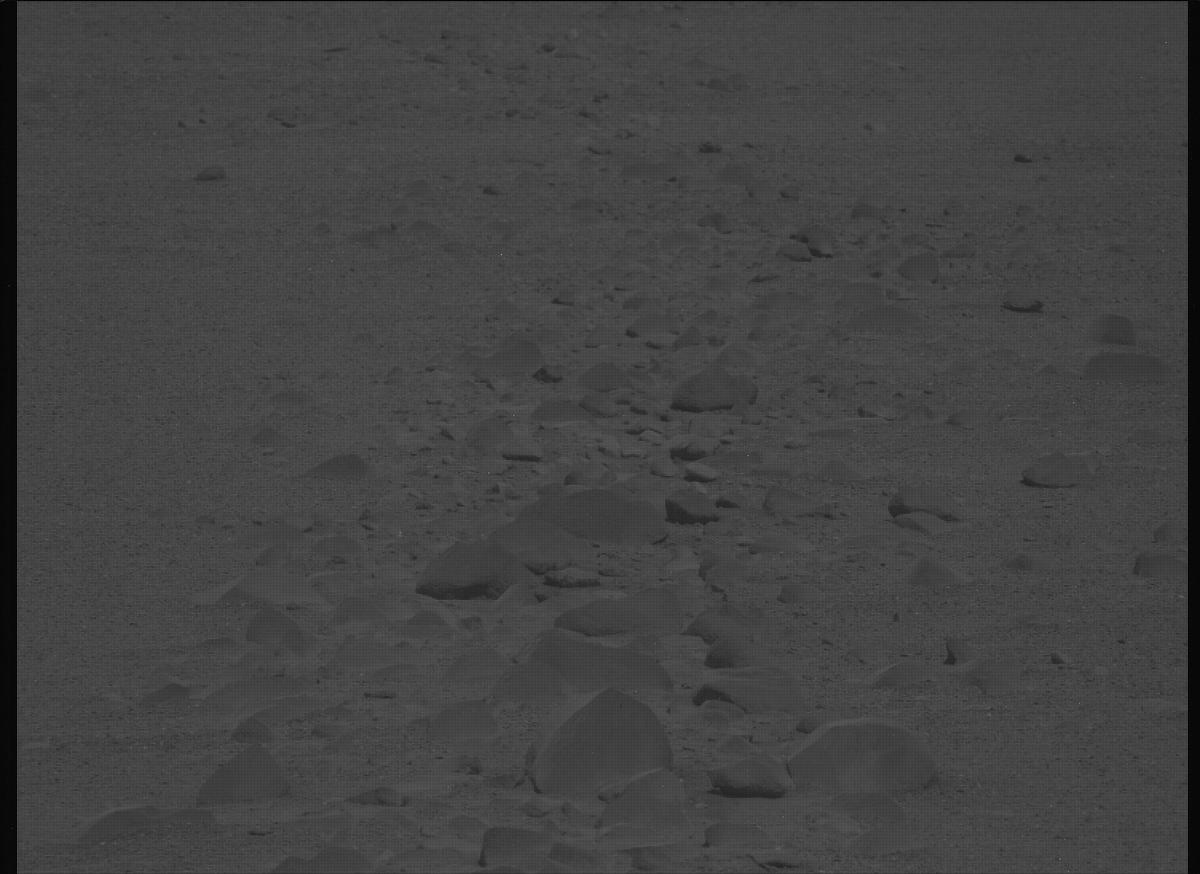 This image was taken by MCZ_LEFT onboard NASA's Mars rover Perseverance on Sol 1341