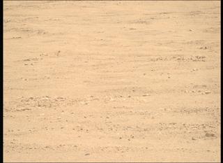 View image taken on Mars, Mars Perseverance Sol 1341: Right Mastcam-Z Camera
