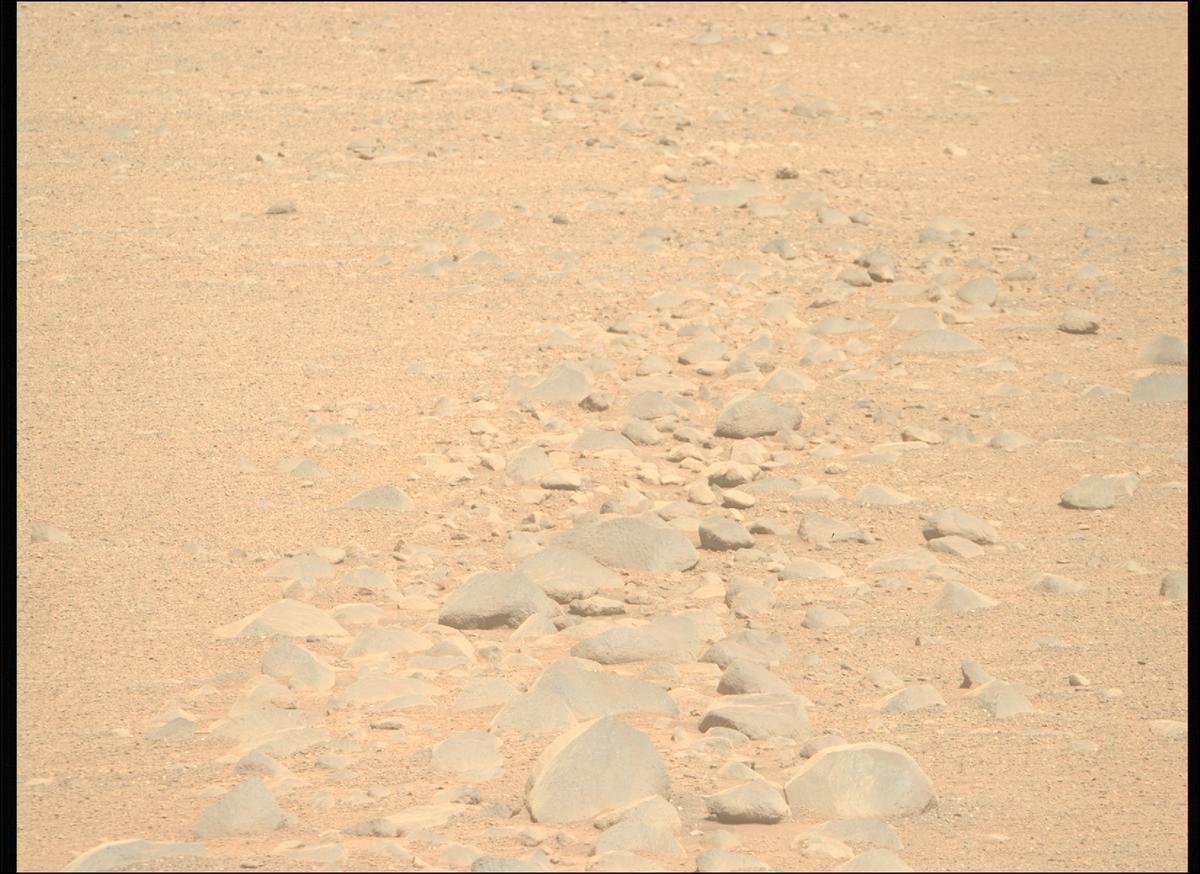 This image was taken by MCZ_RIGHT onboard NASA's Mars rover Perseverance on Sol 1341