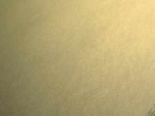 View image taken on Mars, Mars Perseverance Sol 1342: Left Navigation Camera (Navcam)