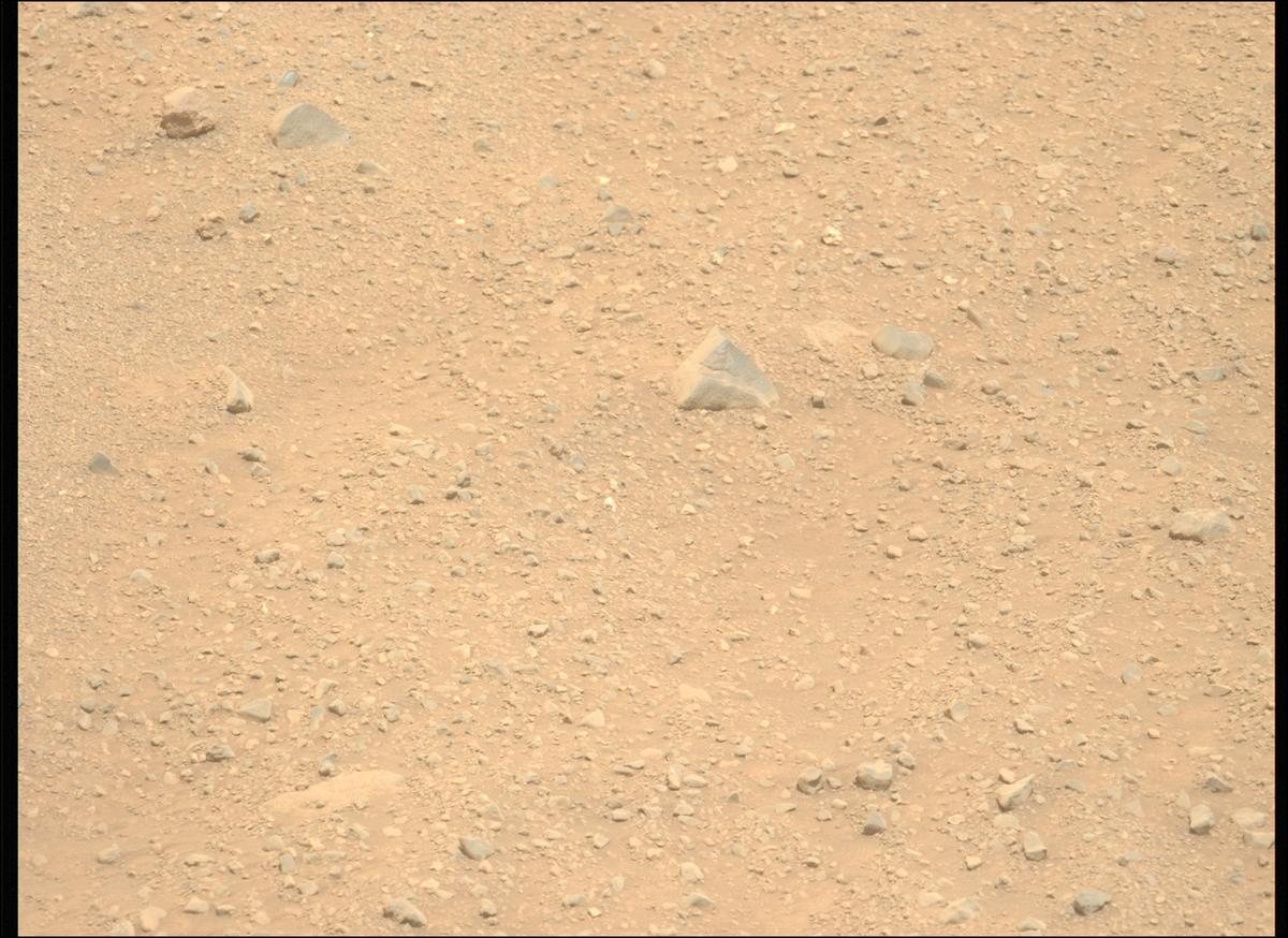 This image was taken by MCZ_LEFT onboard NASA's Mars rover Perseverance on Sol 1348