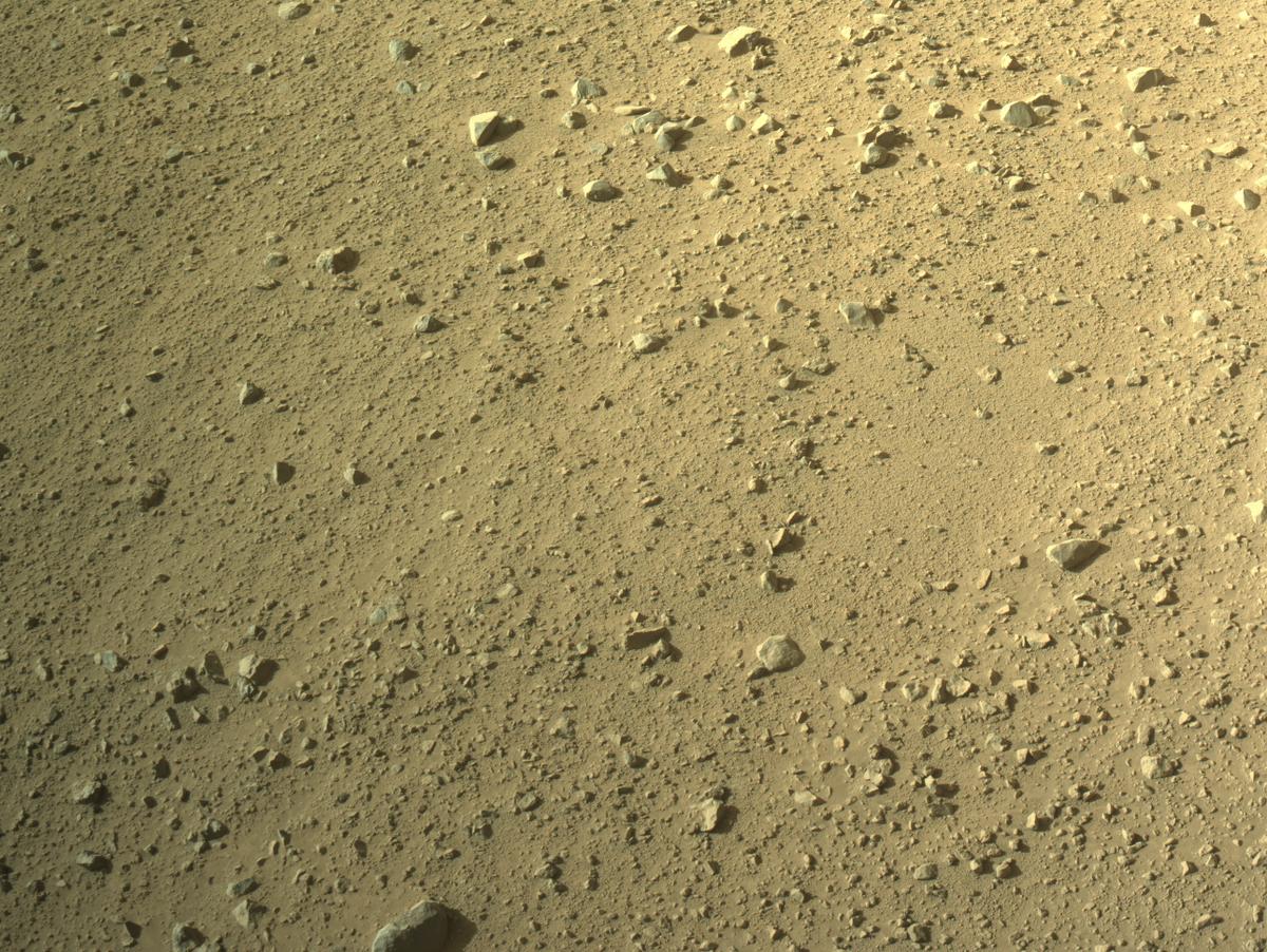 This image was taken by NAVCAM_LEFT onboard NASA's Mars rover Perseverance on Sol 1351