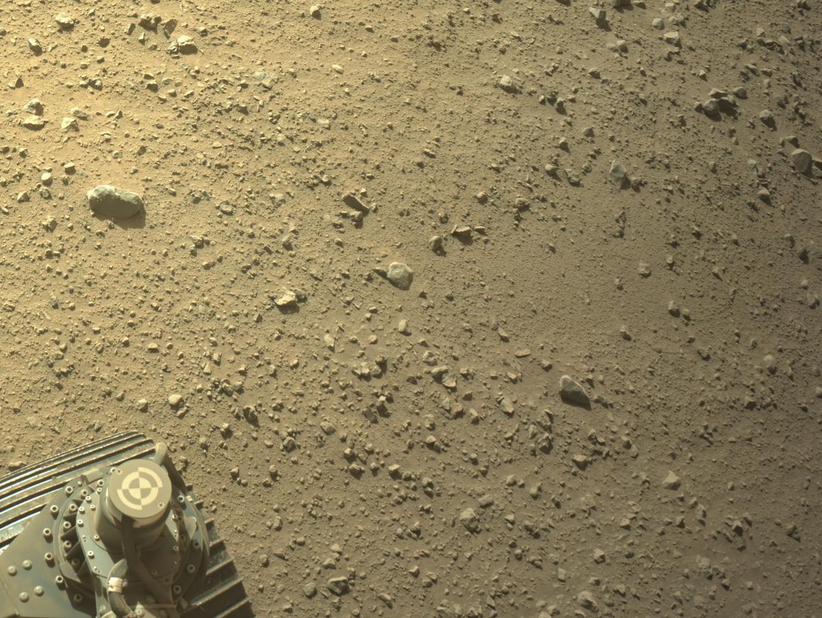 This image was taken by NAVCAM_RIGHT onboard NASA's Mars rover Perseverance on Sol 1351