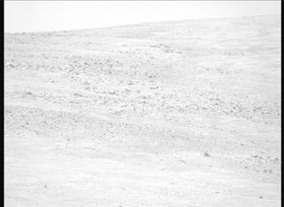 View image taken on Mars, Mars Perseverance Sol 1351: Right Mastcam-Z Camera