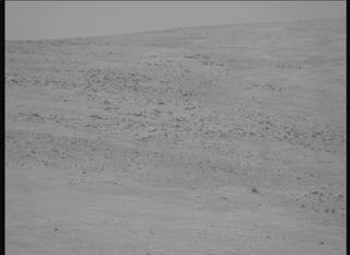 View image taken on Mars, Mars Perseverance Sol 1351: Right Mastcam-Z Camera