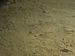 View image taken on Mars, Mars Perseverance Sol 1354: Left Navigation Camera (Navcam)