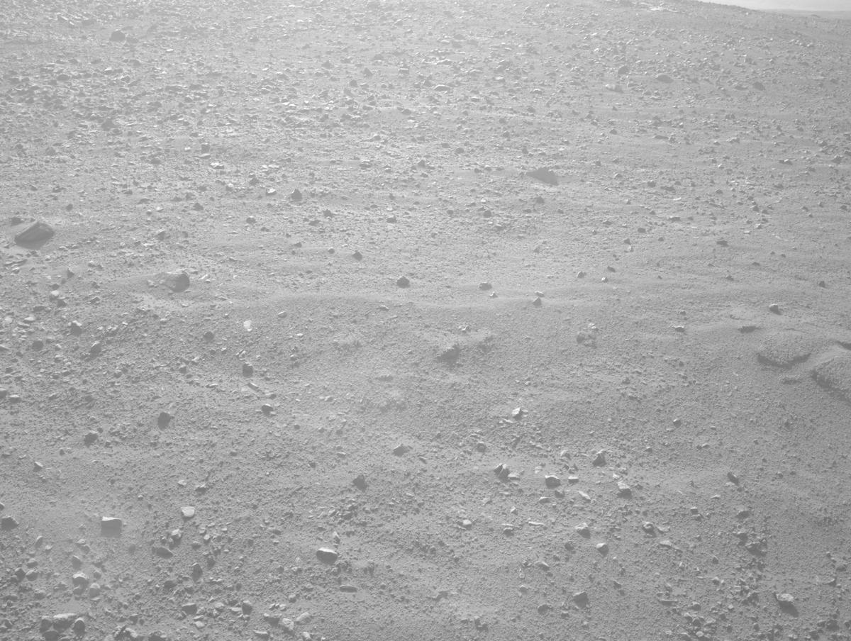 This image was taken by NAVCAM_LEFT onboard NASA's Mars rover Perseverance on Sol 1354