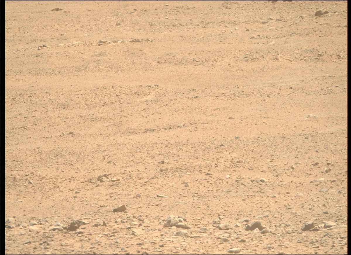 This image was taken by MCZ_RIGHT onboard NASA's Mars rover Perseverance on Sol 1354