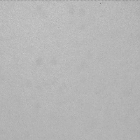 This image was taken by SHERLOC_ACI onboard NASA's Mars rover Perseverance on Sol 1356