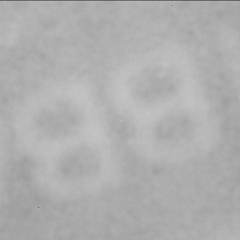 This image was taken by SHERLOC_ACI onboard NASA's Mars rover Perseverance on Sol 1356