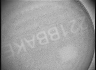 View image taken on Mars, Mars Perseverance Sol 1356: SHERLOC ACI Camera 