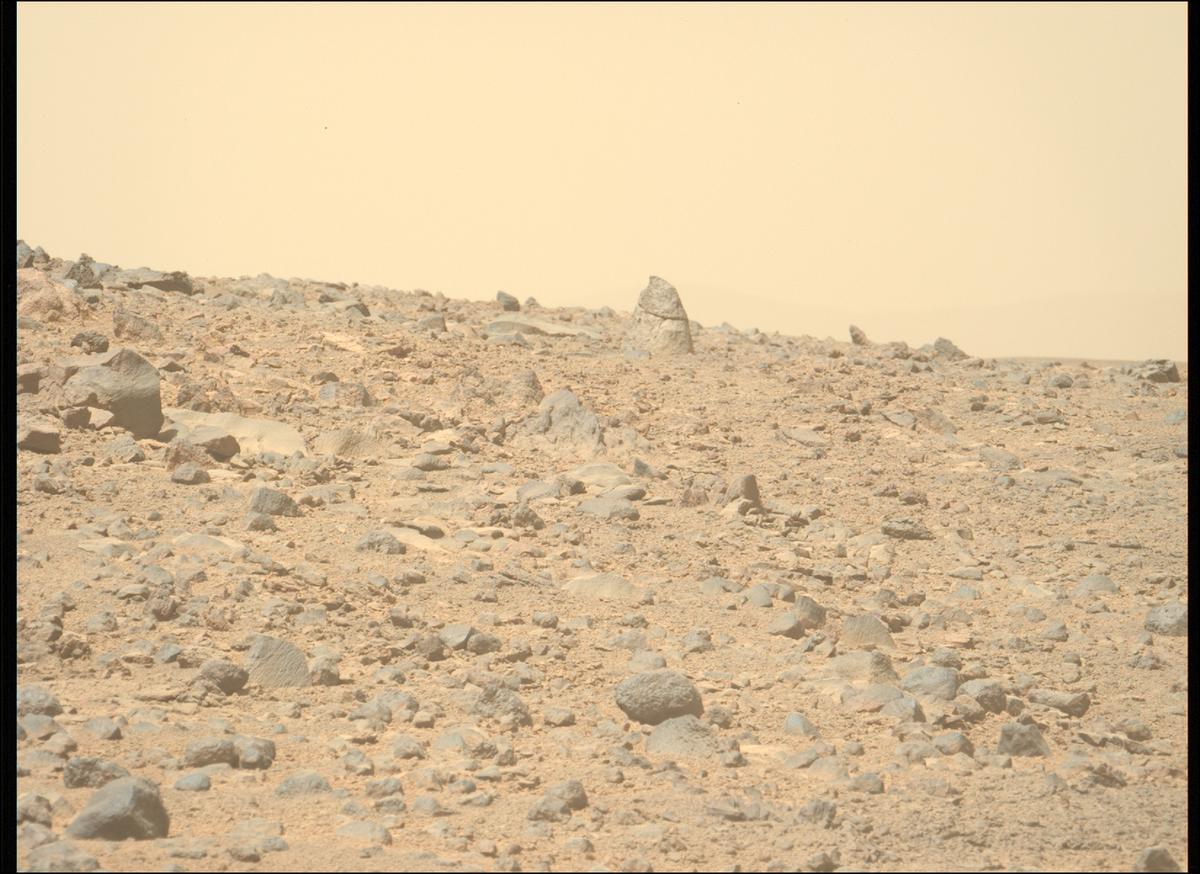 This image was taken by MCZ_LEFT onboard NASA's Mars rover Perseverance on Sol 1356