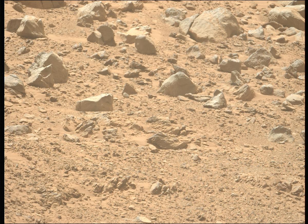 This image was taken by MCZ_LEFT onboard NASA's Mars rover Perseverance on Sol 1356