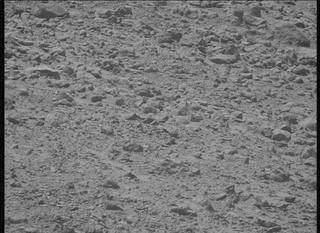 View image taken on Mars, Mars Perseverance Sol 1356: Left Mastcam-Z Camera