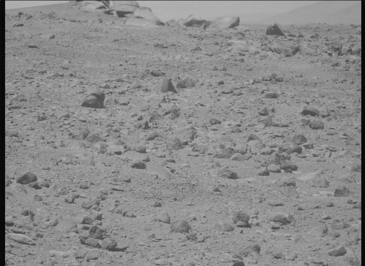 This image was taken by MCZ_LEFT onboard NASA's Mars rover Perseverance on Sol 1356
