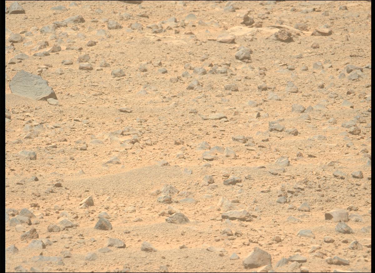 This image was taken by MCZ_LEFT onboard NASA's Mars rover Perseverance on Sol 1356
