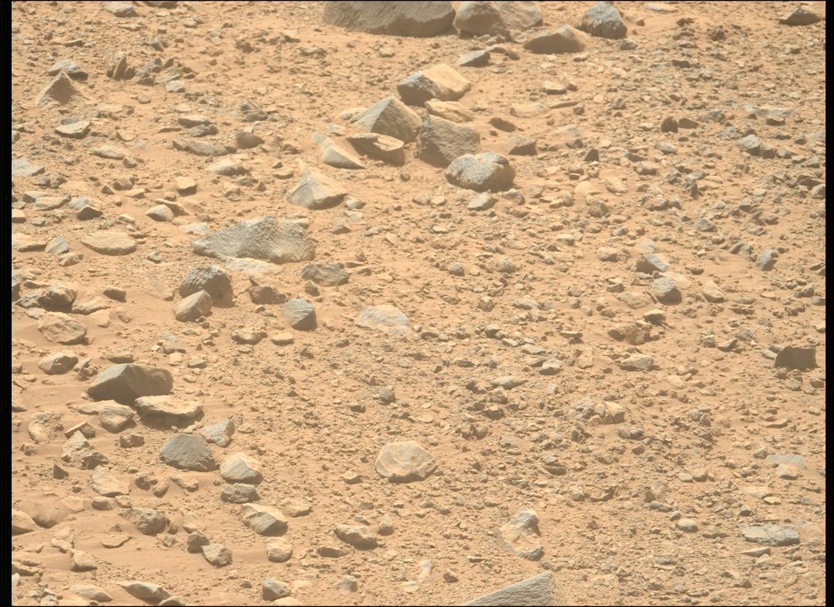 This image was taken by MCZ_LEFT onboard NASA's Mars rover Perseverance on Sol 1356